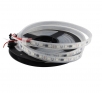 LED pásek 2811 digitální, 5050, 14W/m, RGB, 60 diod, silikon, 12V, 1 m