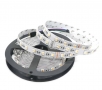 LED pásek 24 V, 5050, RGBW 4-in-1, 19W/m, 60 diod, 1 m