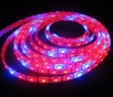 LED pásek pro rostliny 2in1, 14W/m, grow plant 5:1, voděodolný IP65, 1 m