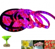 LED pásek pro rostliny 2in1, 14W/m, grow plant 4:1, voděodolný IP65, 1 m