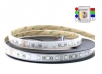 LED pásek 24 V, 5050, RGBW 4-in-1, 19W/m, 60 diod, 1 m, voděodolný IP65