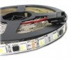 Digitální LED pásek TM1814 RGBW 4in1, 12V, 19 W/m, 60 diod, 1 m