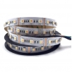 LED pásek RGB+WW+W, 12 V, 5050, 5in1, 60 diod, 2700-6500 K, 1 m, záruka 3 roky