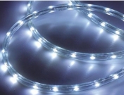 LED pásek 3528, 4W/m, 300 diod, studená bílá, 5 m, voděodolný